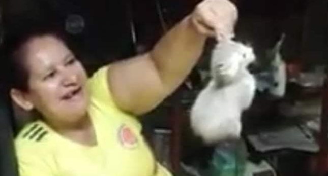 mujer maltratando gato