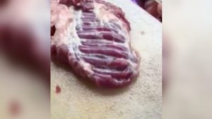 Video de un pedazo de carne que parece viva _ Foto_ video RT
