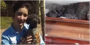 Perrito visita tumba de su dueña _ Foto_ captura video Twittere