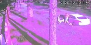 Hombre abandona perritos en la calle Foto captura video