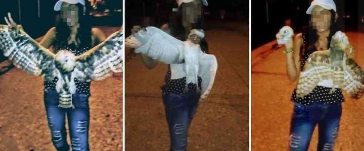 Mujer que decapitó una lechuza fue asesinada por sicarios en Sucre