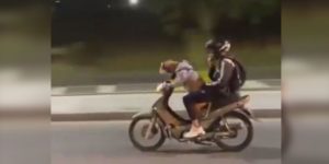Perro manejando moto Foto captura de video