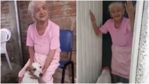 Reencuentro de abuelita con su perrito perdido _ Foto_ Instagram