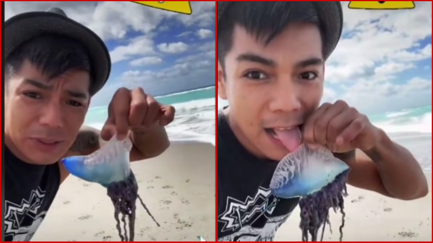 Joven se graba lamiendo un animal sin saber que es una criatura con veneno letal