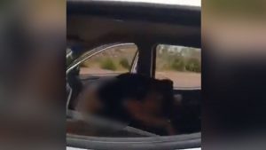 Graban a policías teniedo sexo en una patrulla / Foto: captura video