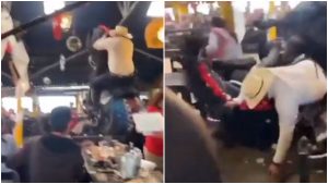 Caballo cae sobre mesas de restaurante _ Foto_ captura video