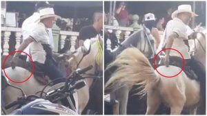 hombre maltrata a caballo con taser Foto redes