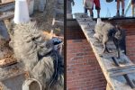 ¡Todo por las croquetas! Perro se hace viral por trabajar como albañil en una construcción