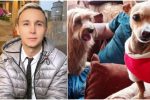 150322 Piden ayuda para los perritos de Mauricio Leal _ Foto_ Instagram