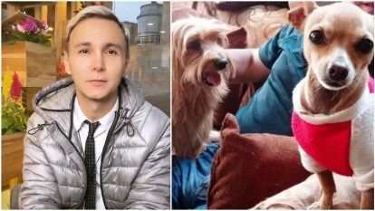 150322 Piden ayuda para los perritos de Mauricio Leal _ Foto_ Instagram