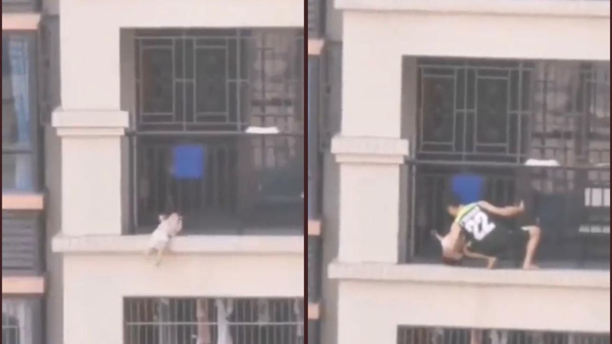 Hombre salva a niño de caer de edificio