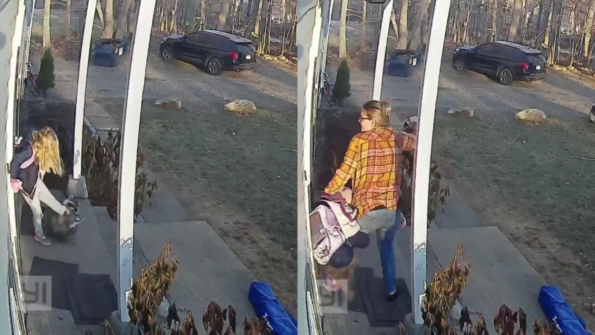 Ataque de mapache a niña