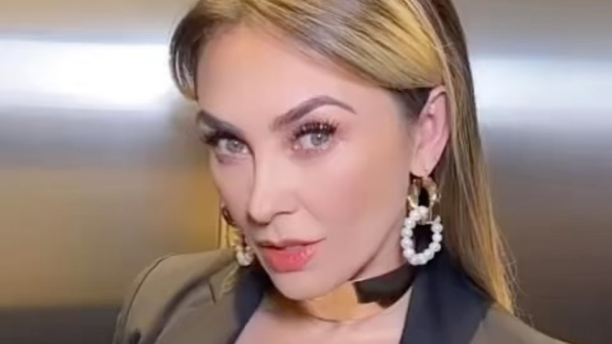 Aracely Arámbula subió la temperatura al posar en sensual babydoll con ligeros