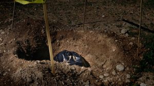 Autoridades encontraron cuerpo de menor desmembrado en Ciudad Bolívar