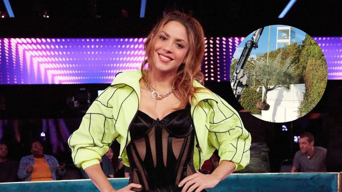 Shakira se lleva árbol de mansión de Barcelona
