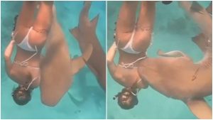 Mujer mordida por un tiburón _ Foto_ captura video Tikton @Independent