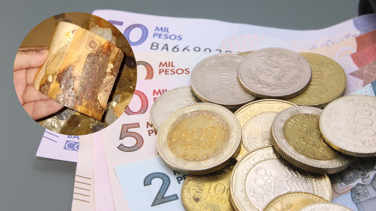 Billetes y monedas colombianos | Billete dañado (Getty Images y Facebook: @LilyNoorly)