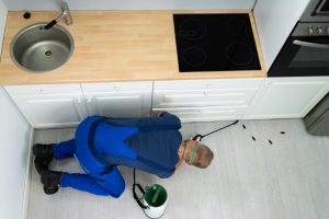 Hacer limpiezas profundas para evitar la aparición de cucarachas en su cocina (Foto vía Getty Images)