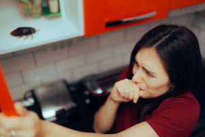 Utilice remedios caseros para evitar usar químicos en su cocina (Foto vía Getty Images)