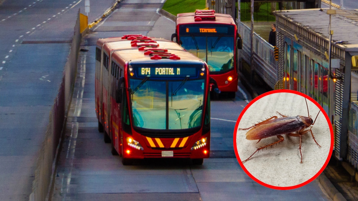 Fotos: imágenes de referencia Getty Images