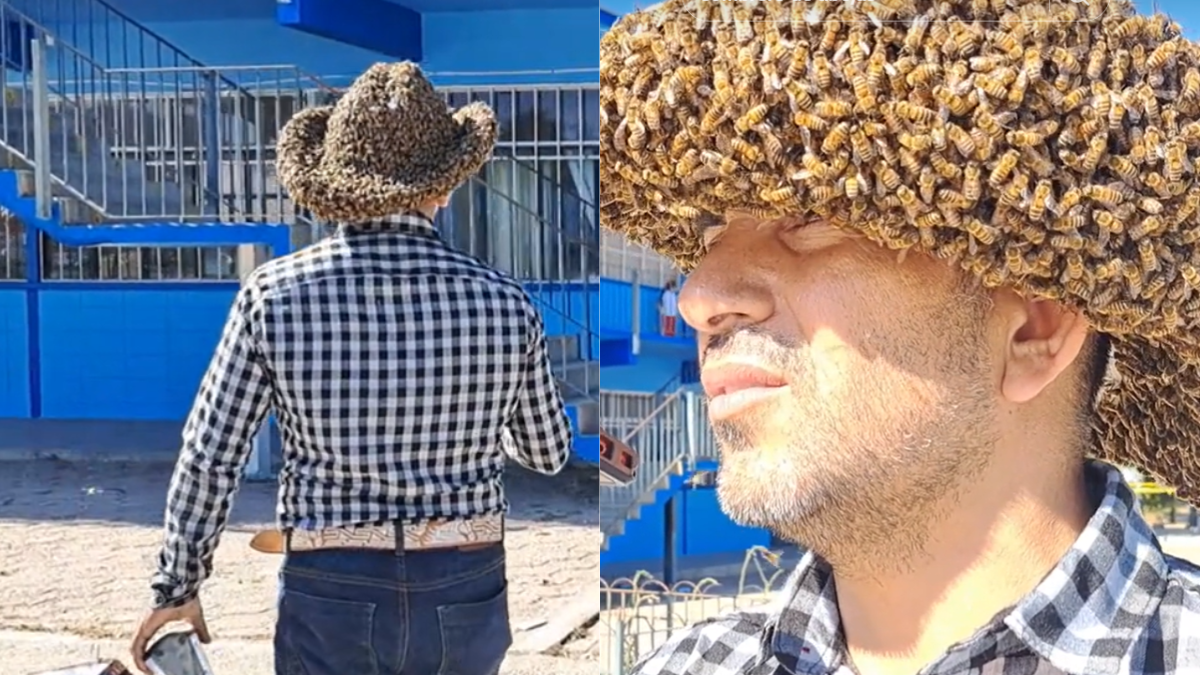 Sombrero de abejas