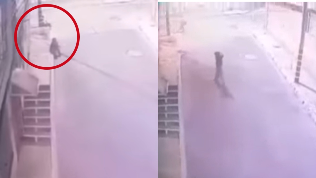 Foto: captura video redes sociales