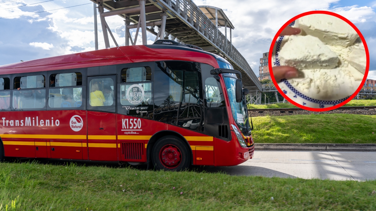 Foto: imagen de referencia Getty Images / captura video TikTok