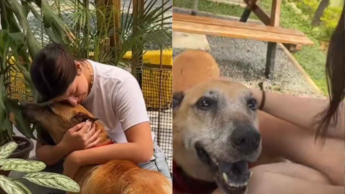 Crédito: @jeyck_la_leyenda