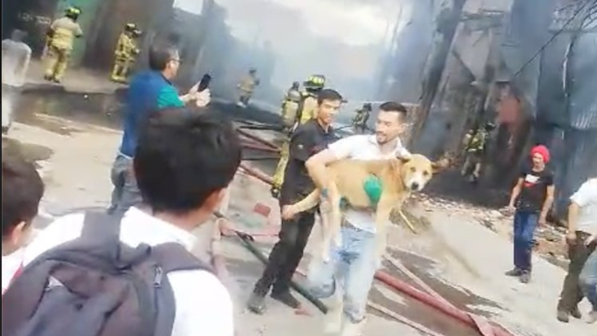 Crédito:; Redes sociales