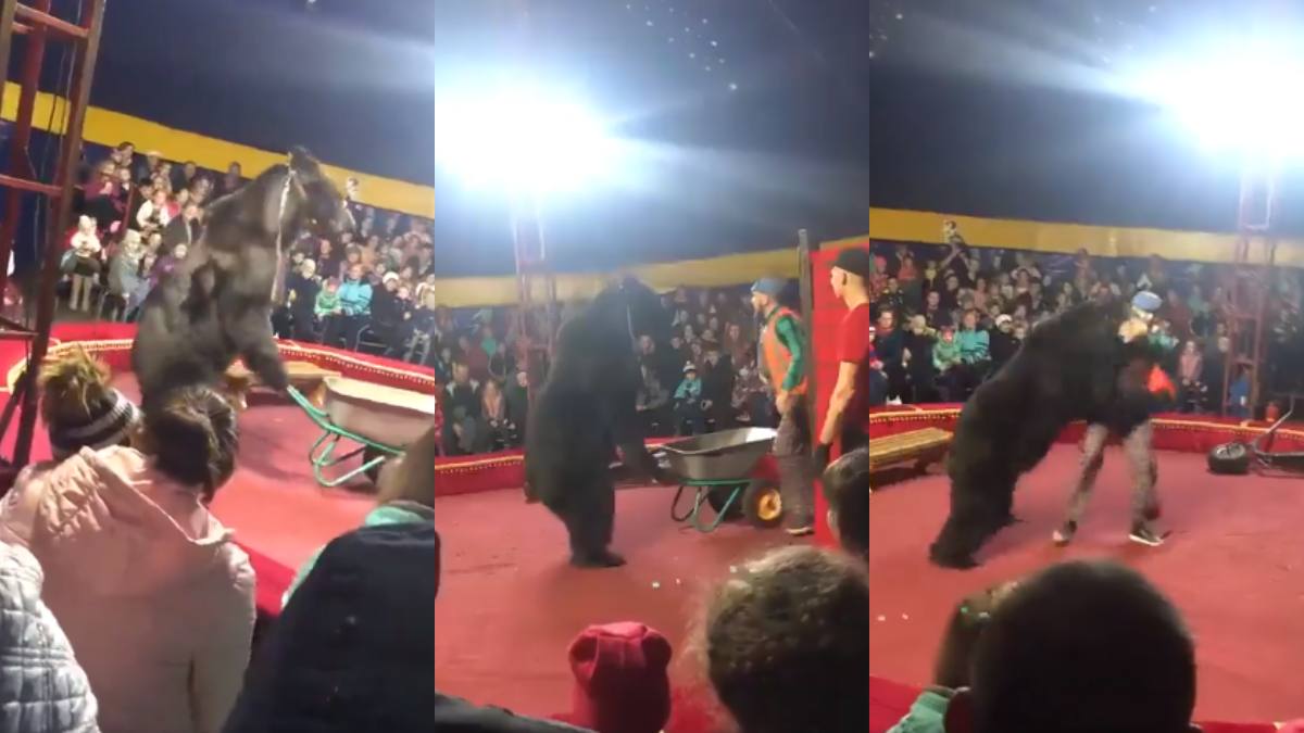 Foto: captura video X