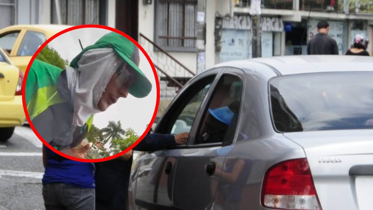 Foto: imagen de referencia Colprensa / captura video X