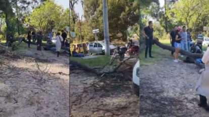 foto: captura video X