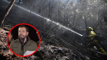 Foto: Getty Images / X @CarlosFGalan