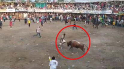 Foto: captura video X