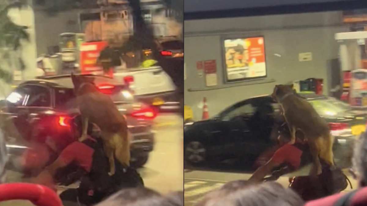 Foto: captura video TikTok