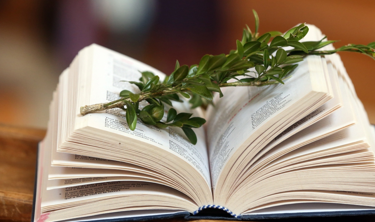 Domingo de Ramos: conoce sus tradiciones y significado en Colombia