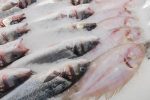 Precio del pescado en Corabastos - Getty Images