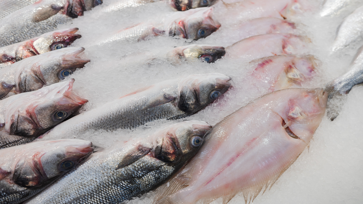 Precio del pescado en Corabastos - Getty Images