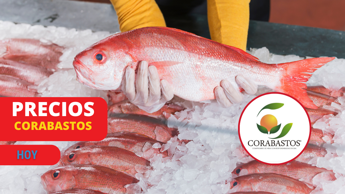 Precios de los pescados en Corabastos (Fotos vía Getty Images y logo Corabastos)