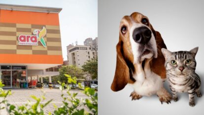 Créditos: Getty Images y tiendas Ara