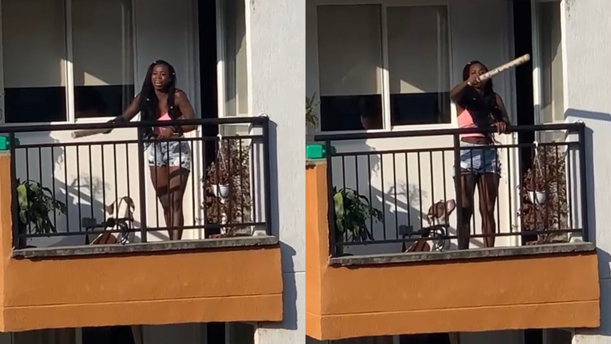 Mujer golpeó sin piedad a una perrita que recién dio a luz en Jamundí