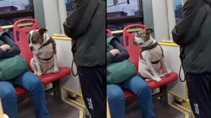 Foto: captura video X