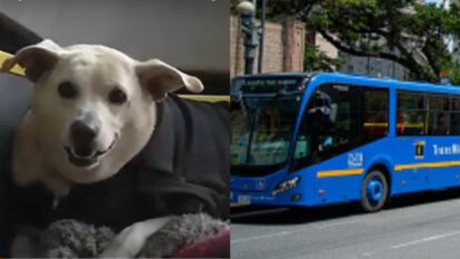 Foto: captura video City TV / imagen de referencia Getty Images