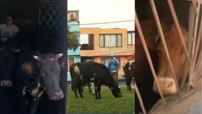 Foto: captura video Noticias Caracol