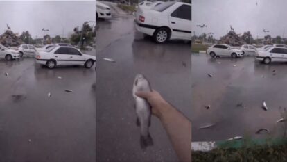 Foto; captura videos redes