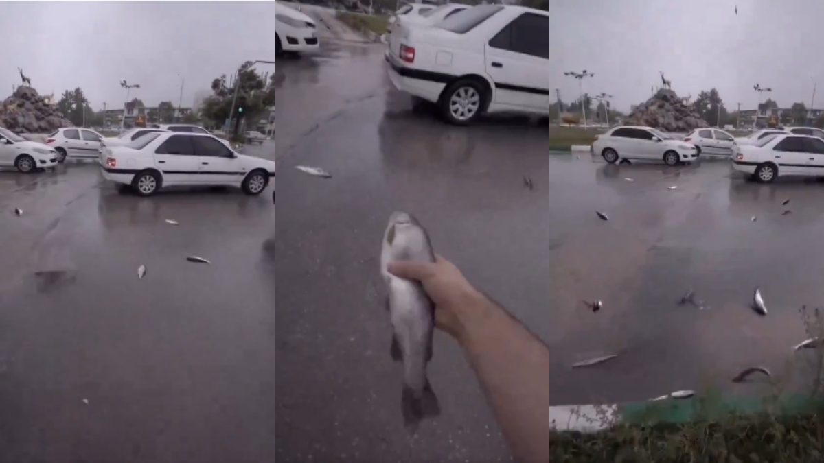 Foto; captura videos redes