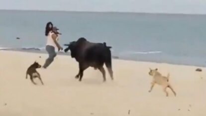 Foto: captura video X