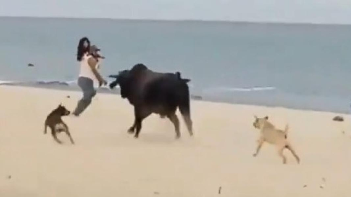 Foto: captura video X