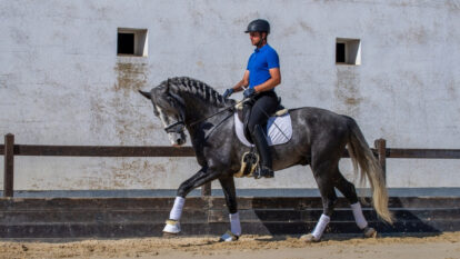 Domador caballos sueldo