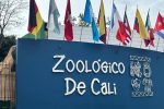 Zoológico de Cali